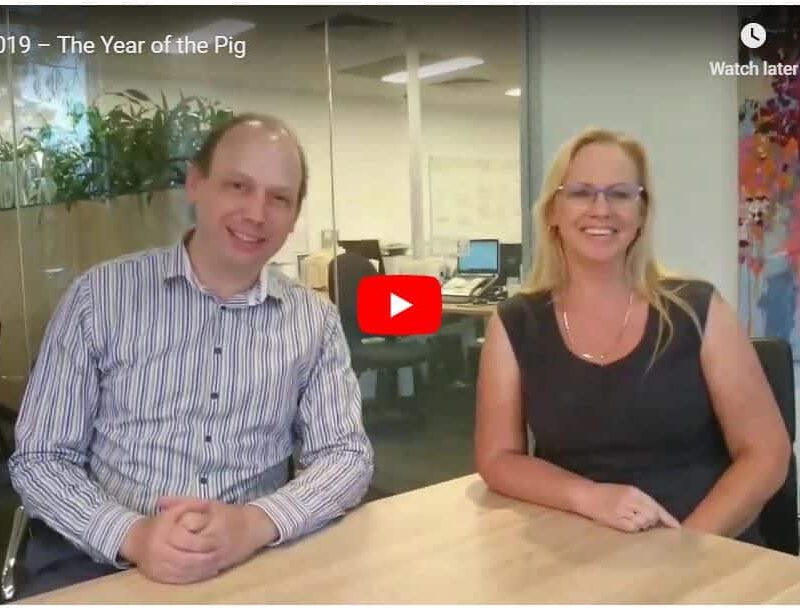 2019 year of the Pig